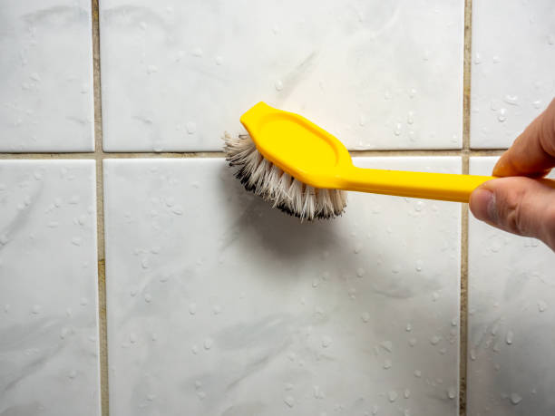 Best Office Mold Removal Services  in Harleysville, PA