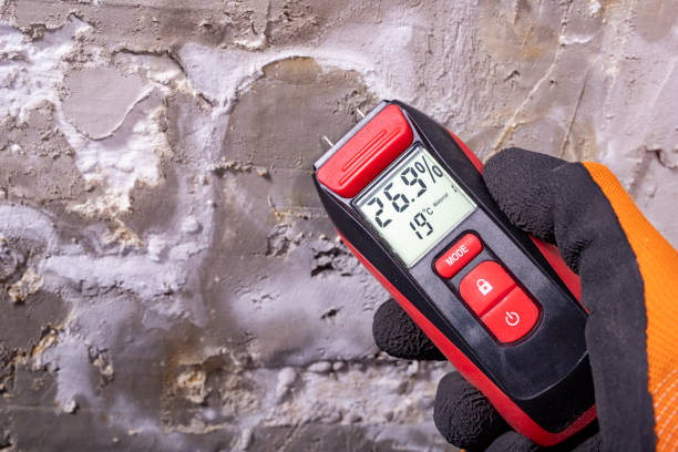 Best Local Mold Removal Service  in Harleysville, PA